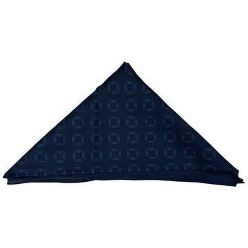 Aalbatro Silk Printed Scarf Blue