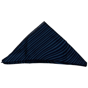 Aalbatro Silk Printed Scarf Blue Stripe